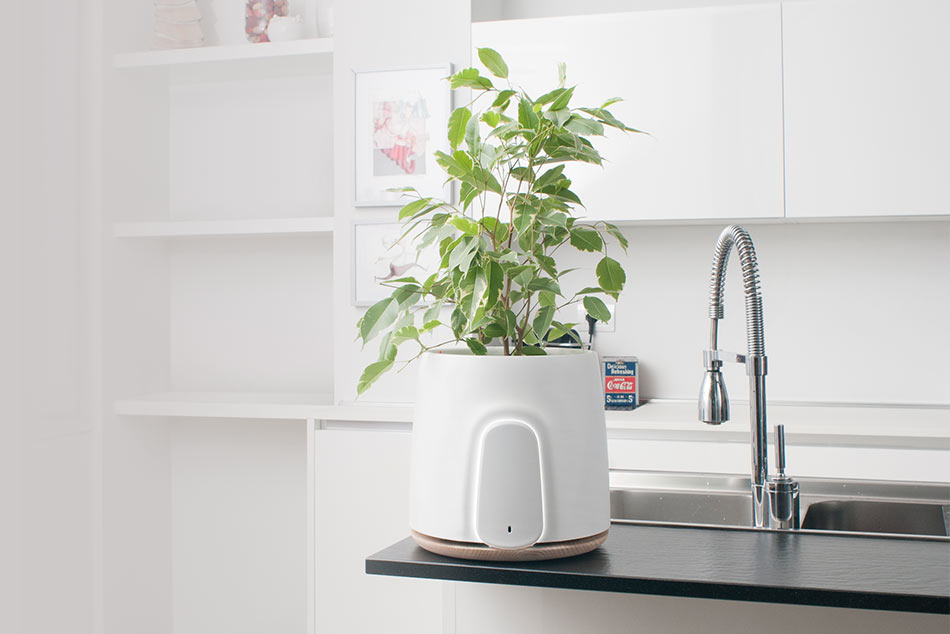 NATEDE Luftreiniger – intelligent durch reinigende Pflanzenkraft