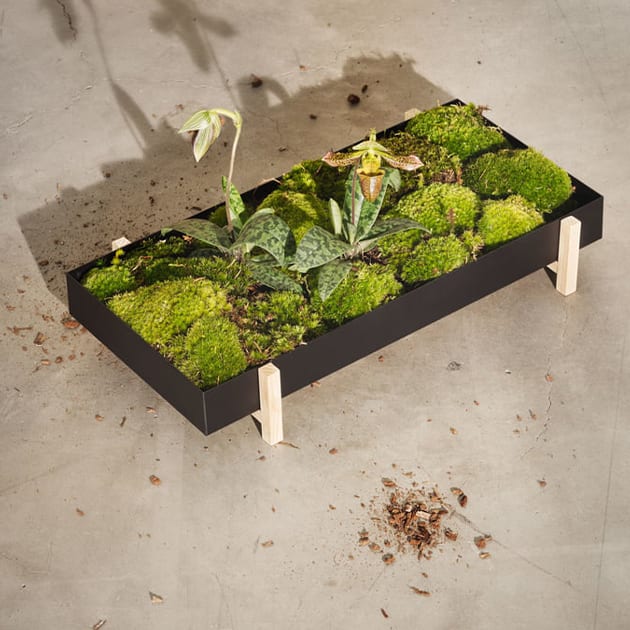 Design House Stockholm - Blumenschale als Grünfläche für den Wohnbereich