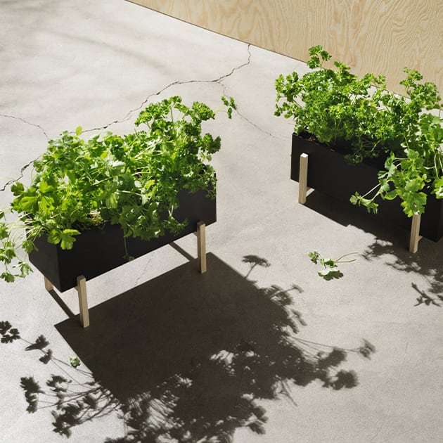 Botanic Box von Design House Stockholm - eine grüne Oase für Dein Zuhause