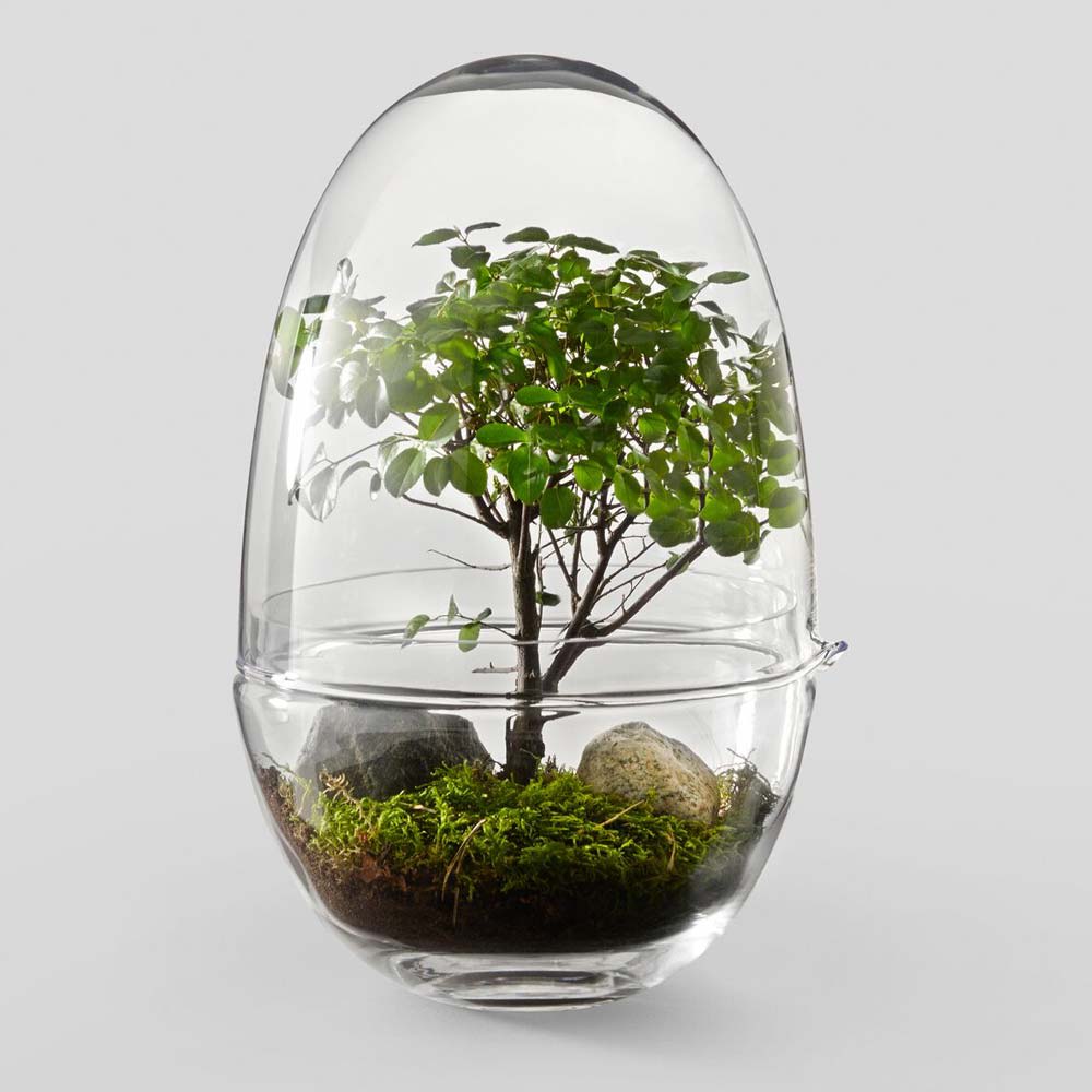 Grow Gewächshaus Glas