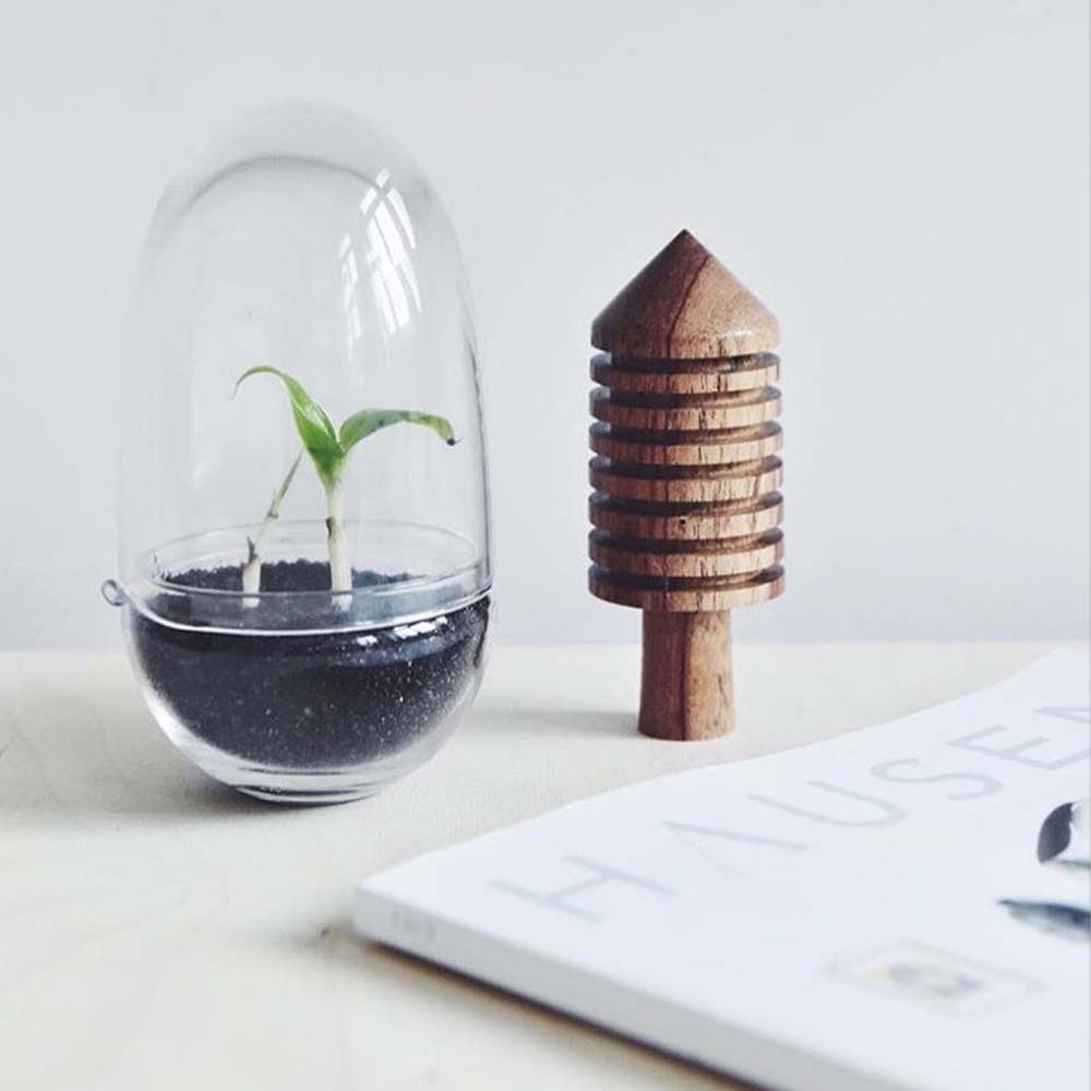 Grow Gewächshaus Glas