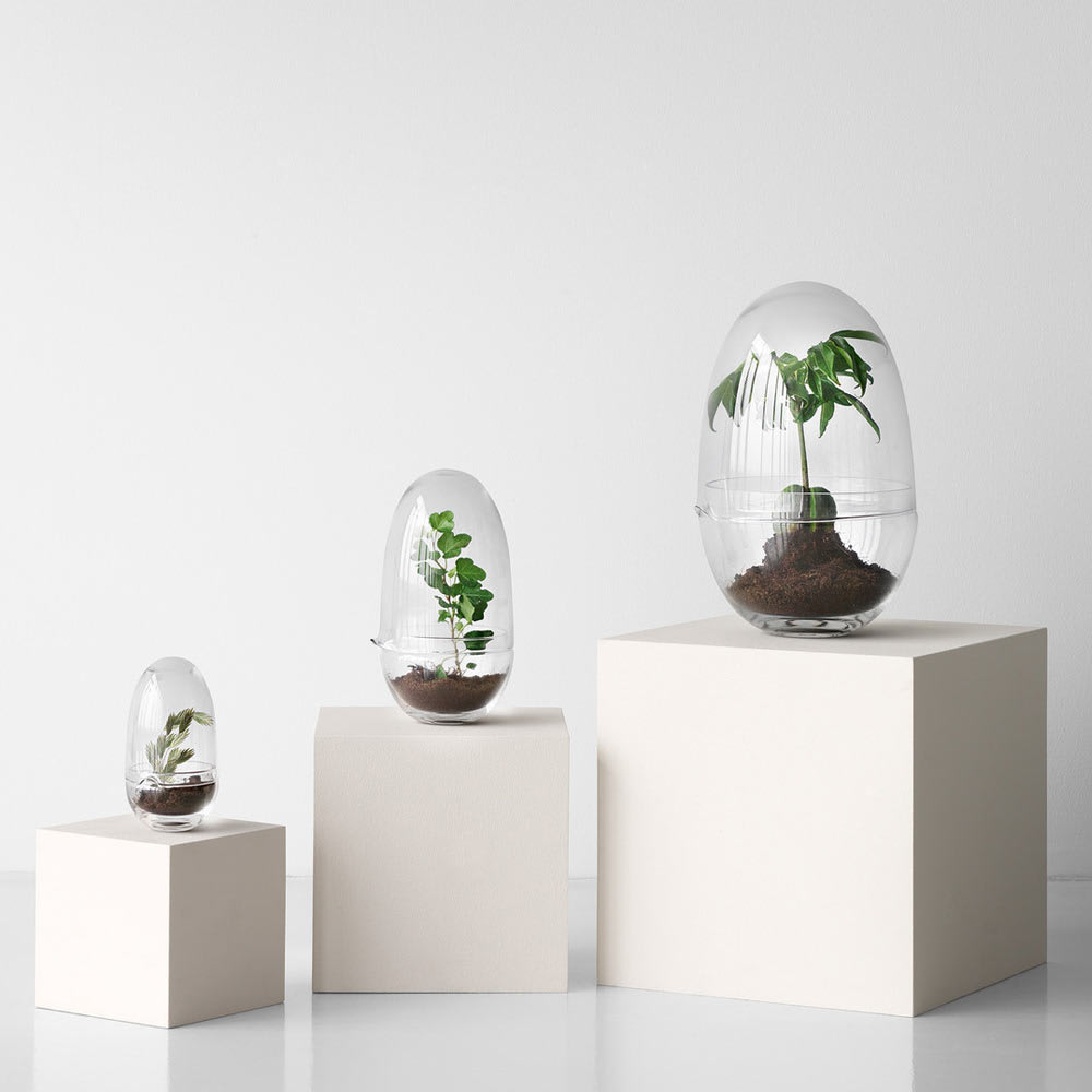 Grow Gewächshaus Glas
