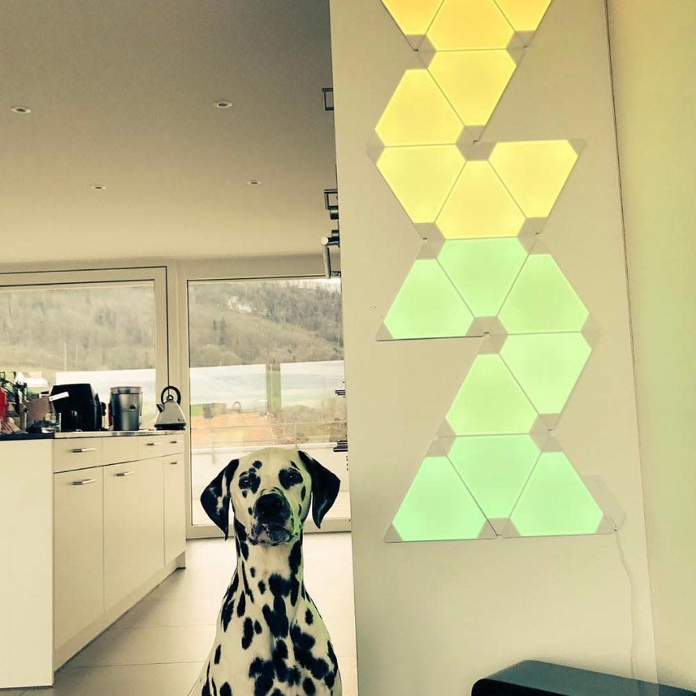 Nanoleaf LED Panel