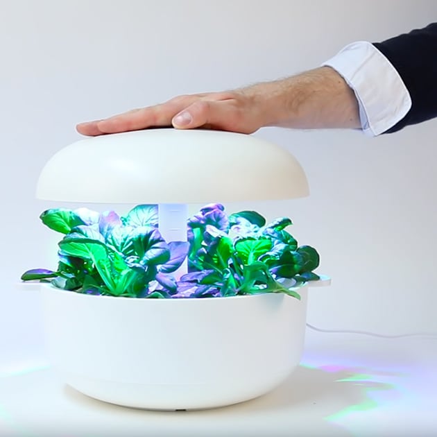 Smart Garden – Plantui 6