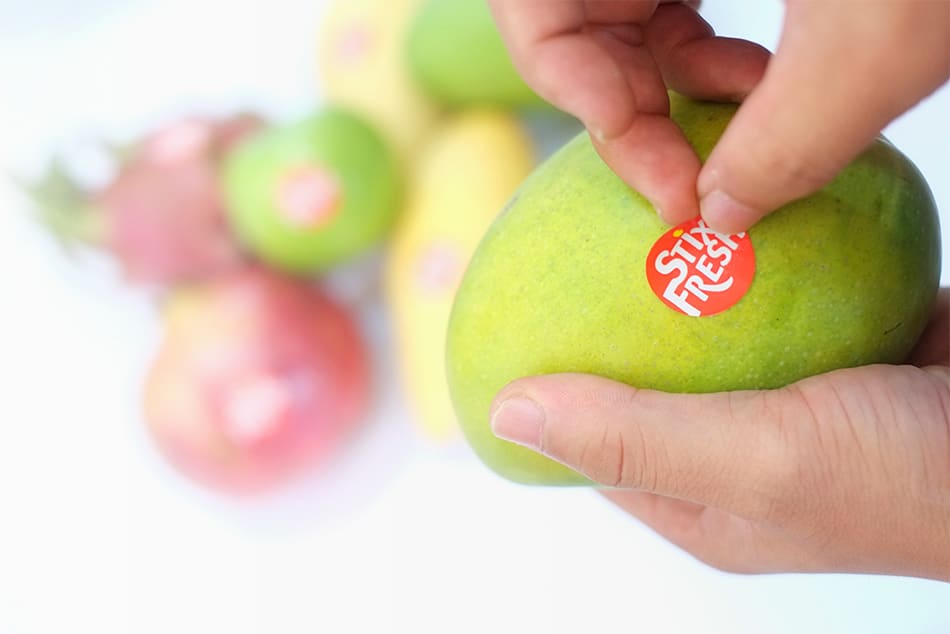 StixFresh – Fortschritt durch Verlangsamung der Natur