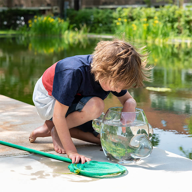 Weltevree – Local Habitat Glas-Vase mit Lupen-Effekt für Insekten und Pflanzen