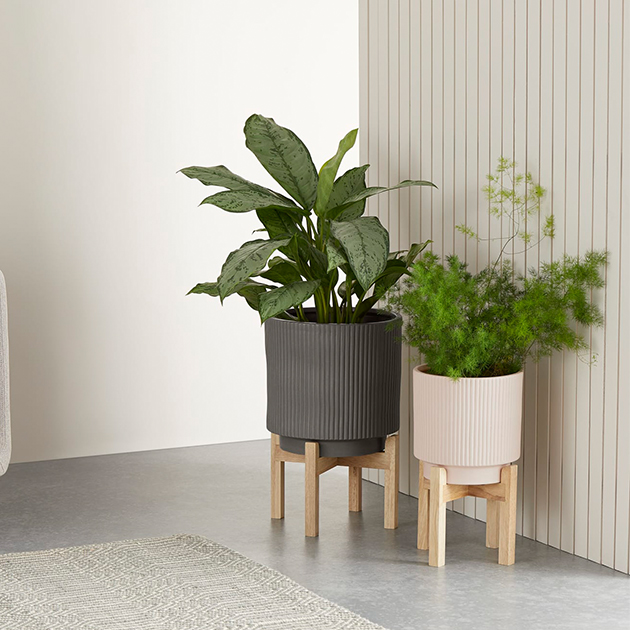 Pflanzkübel Palm aus Holz und Keramik