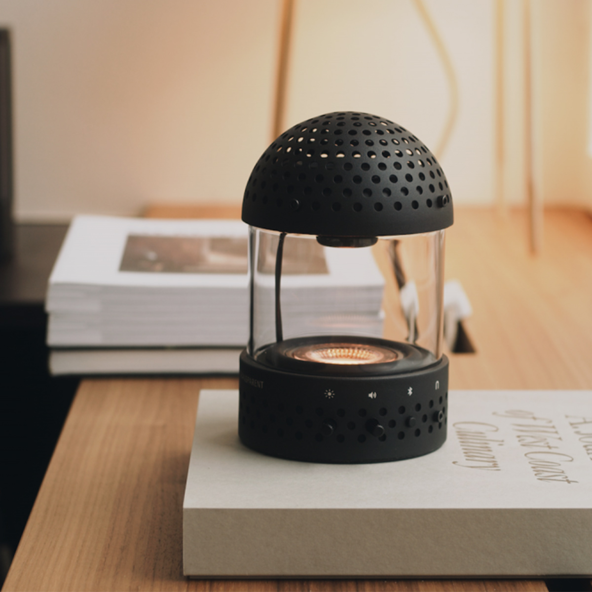 Light Speaker – Sound und Licht