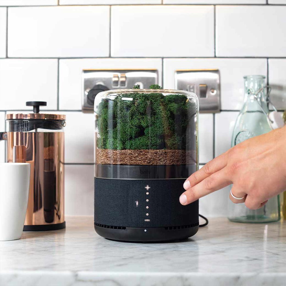 briiv Luftreiniger – natürliche Lösung für saubere Raumluft mit smart home Technologie