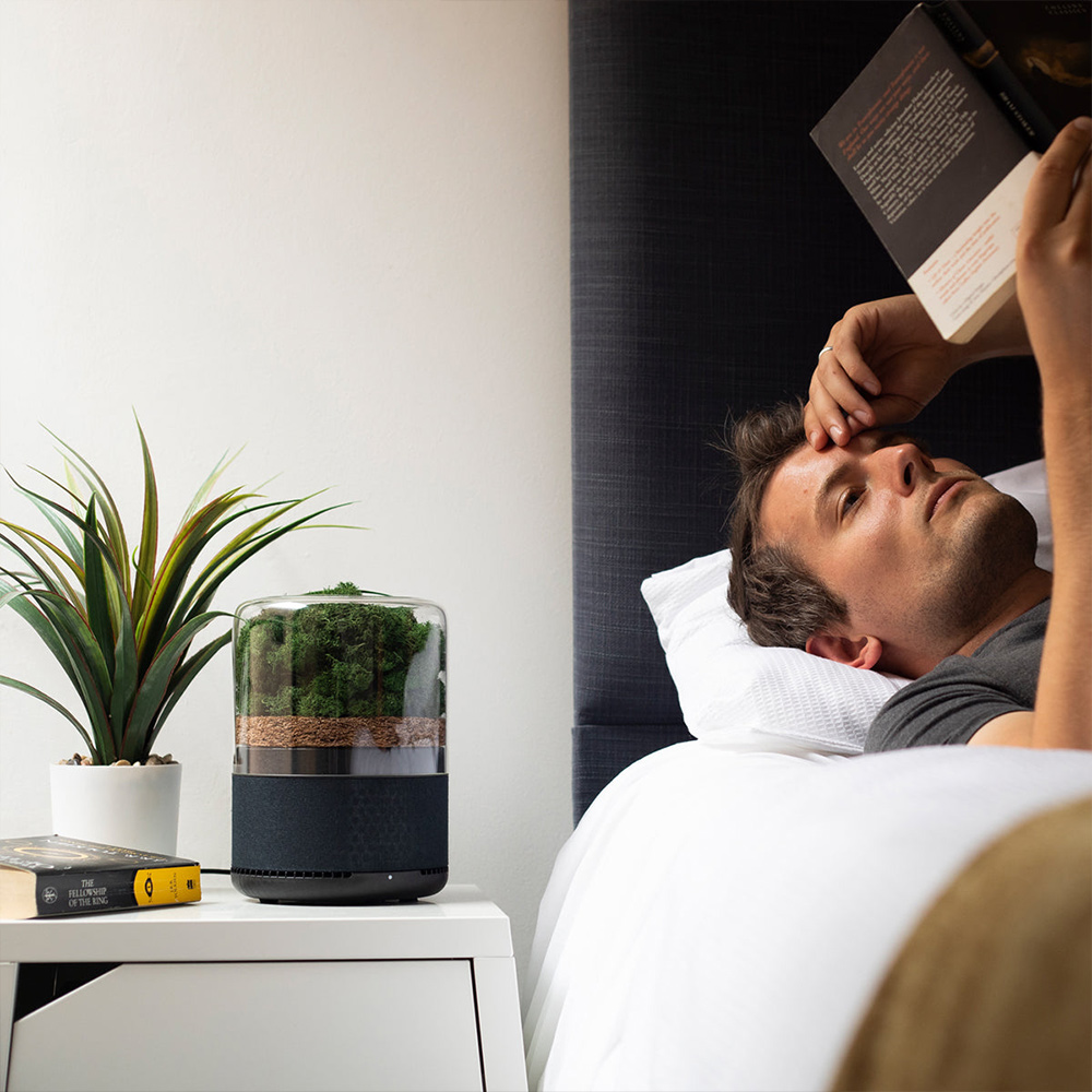 briiv Luftreiniger – natürliche Lösung für saubere Raumluft mit smart home Technologie