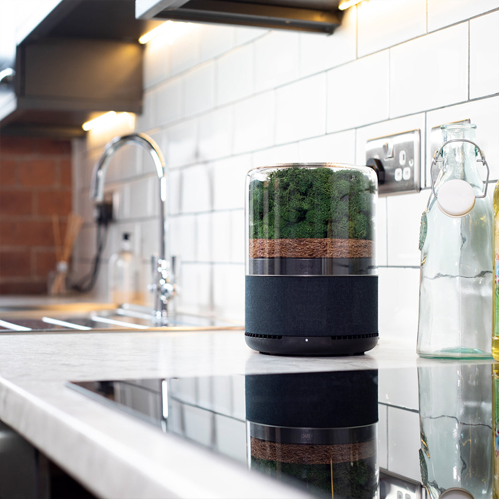 briiv Luftreiniger – natürliche Lösung für saubere Raumluft mit smart home Technologie