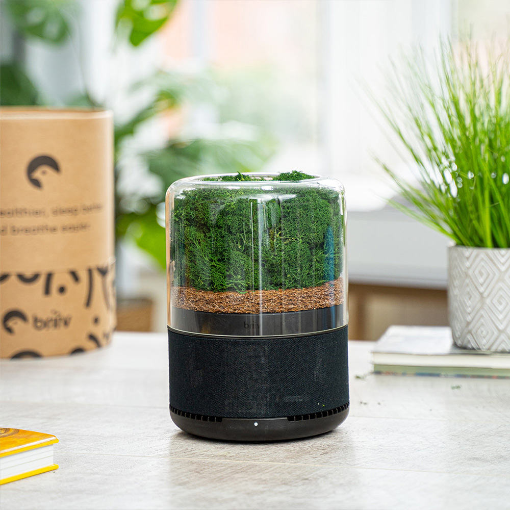 briiv Luftreiniger – natürliche Lösung für saubere Raumluft mit smart home Technologie