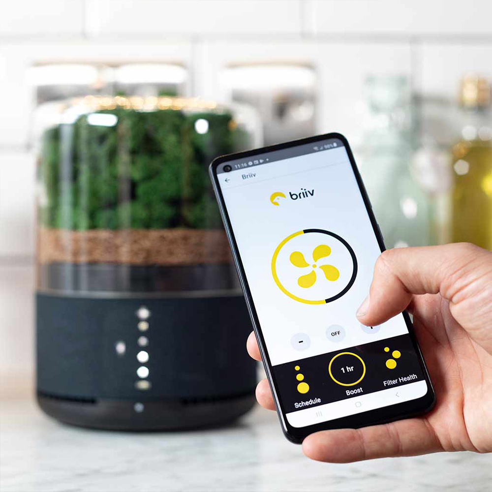 briiv Luftreiniger – natürliche Lösung für saubere Raumluft mit smart home Technologie
