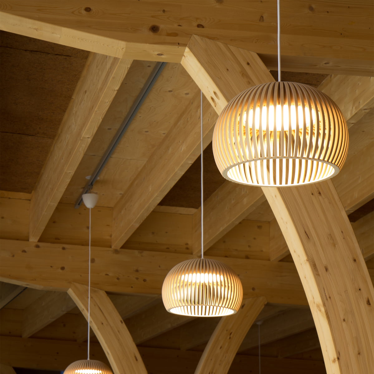 Atto Pendelleuchte von Secto Design aus Birkenholz