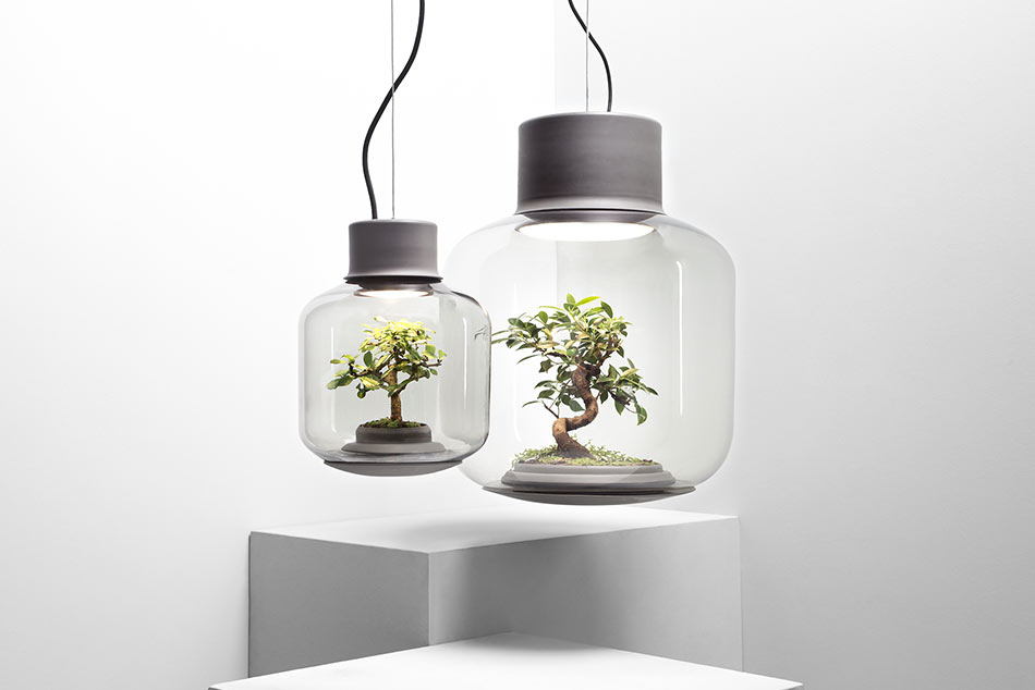 Eine Leuchte in der Pflanzen wohnen, ein autonomes Ökosystem