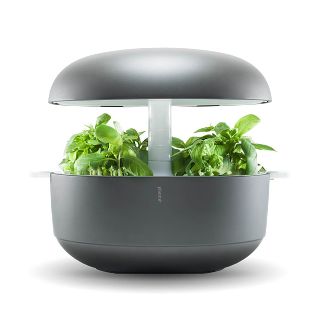 Smart Garden – Plantui 6