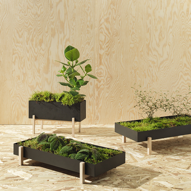 Botanic Box von Design House Stockholm – eine grüne Oase für Dein Zuhause