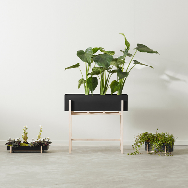 Botanic Box von Design House Stockholm – eine grüne Oase für Dein Zuhause