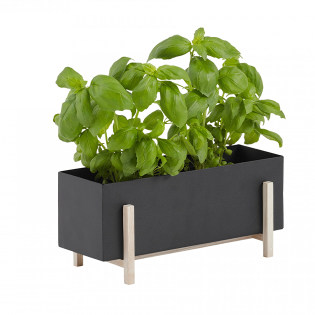 Botanic Box von Design House Stockholm – eine grüne Oase für Dein Zuhause